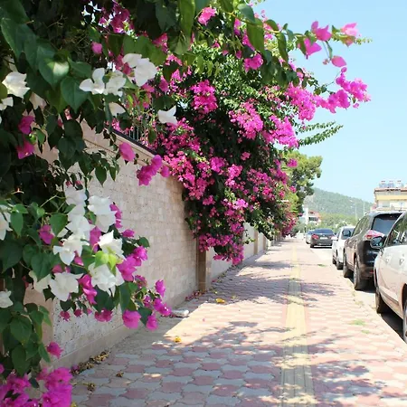Tebriz * Kemer